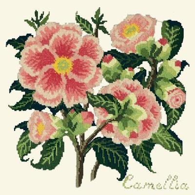 Camellia Needlepoint Kit Kits Elizabeth Bradley Design Winter White 
