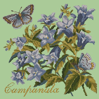 Campanula Needlepoint Kit Kits Elizabeth Bradley Design Pale Green 
