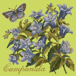 Campanula Needlepoint Kit Kits Elizabeth Bradley Design Pale Lime 
