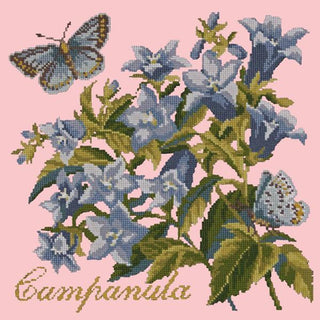 Campanula Needlepoint Kit Kits Elizabeth Bradley Design Pale Rose 
