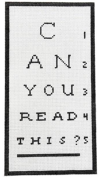 Can you read this? Eyeglass Case Painted Canvas Rachel Donley  - 1