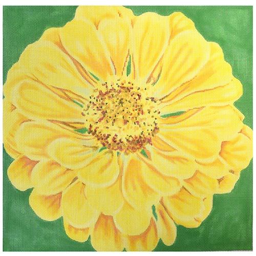 Canary Zinnia/Green Background Painted Canvas The Meredith Collection 