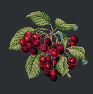 Cherries Needlepoint Kit Kits Elizabeth Bradley Design Black 
