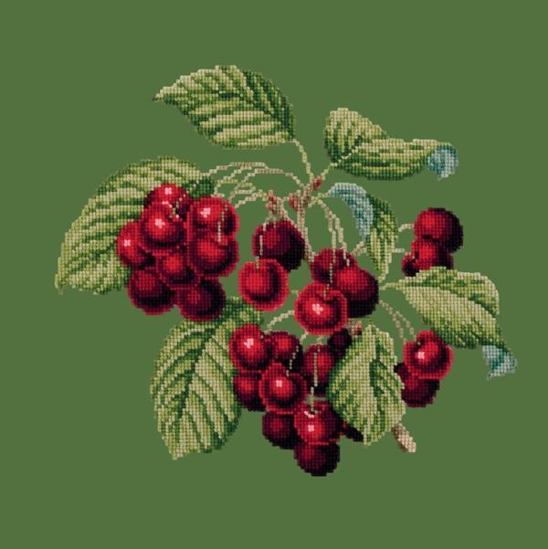 Cherries Needlepoint Kit Kits Elizabeth Bradley Design Dark Green 
