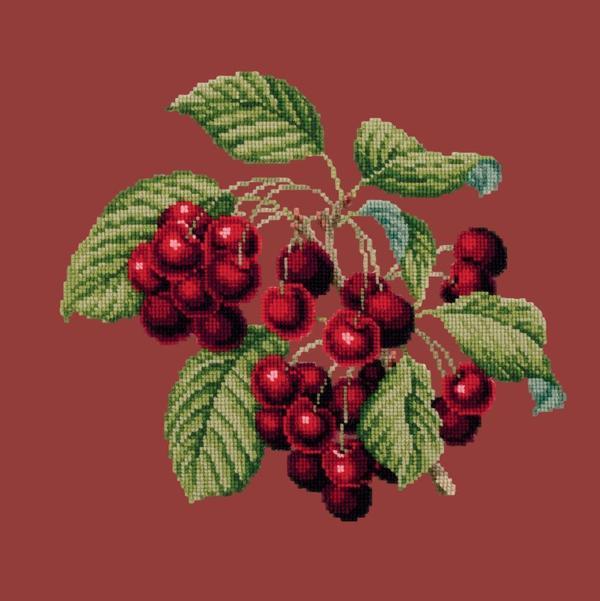 Cherries Needlepoint Kit Kits Elizabeth Bradley Design Dark Red 
