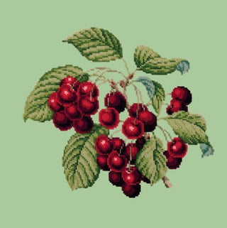 Cherries Needlepoint Kit Kits Elizabeth Bradley Design Pale Green 
