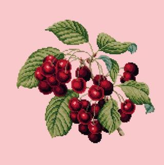 Cherries Needlepoint Kit Kits Elizabeth Bradley Design Pale Rose 
