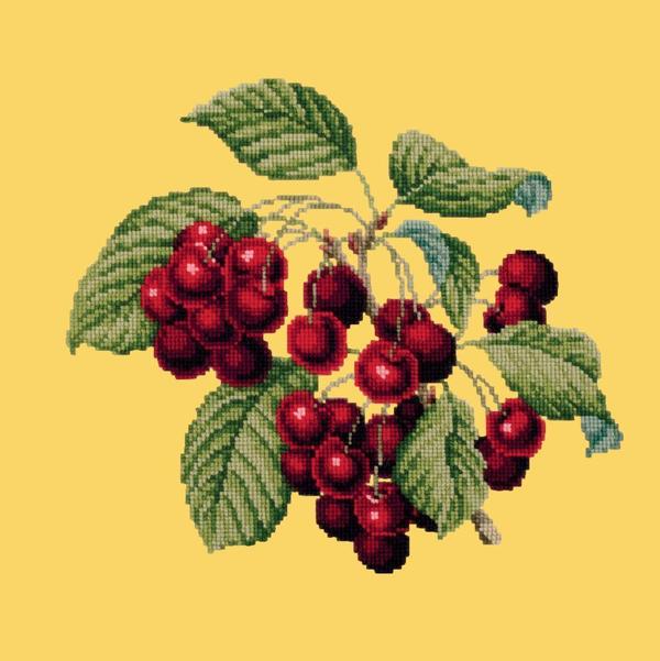 Cherries Needlepoint Kit Kits Elizabeth Bradley Design Sunflower Yellow 

