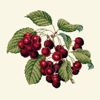 Cherries Needlepoint Kit Kits Elizabeth Bradley Design Winter White 
