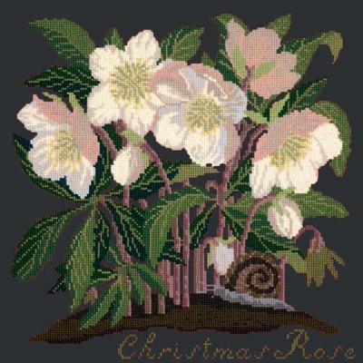 Christmas Rose Needlepoint Kit Kits Elizabeth Bradley Design Black 
