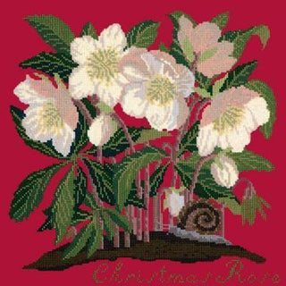 Christmas Rose Needlepoint Kit Kits Elizabeth Bradley Design Bright Red 
