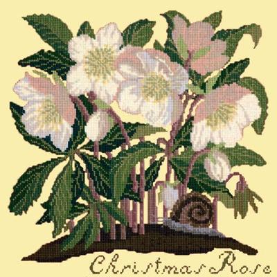 Christmas Rose Needlepoint Kit Kits Elizabeth Bradley Design Butter Yellow 
