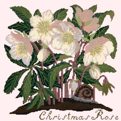 Christmas Rose Needlepoint Kit Kits Elizabeth Bradley Design Cream 
