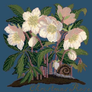 Christmas Rose Needlepoint Kit Kits Elizabeth Bradley Design Dark Blue 
