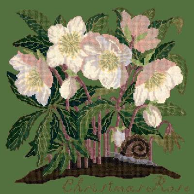 Christmas Rose Needlepoint Kit Kits Elizabeth Bradley Design Dark Green 

