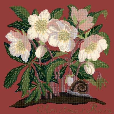 Christmas Rose Needlepoint Kit Kits Elizabeth Bradley Design Dark Red 
