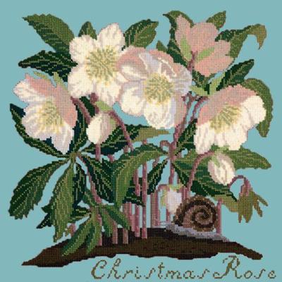 Christmas Rose Needlepoint Kit Kits Elizabeth Bradley Design Duck Egg Blue 
