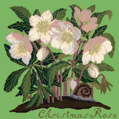 Christmas Rose Needlepoint Kit Kits Elizabeth Bradley Design Grass Green 
