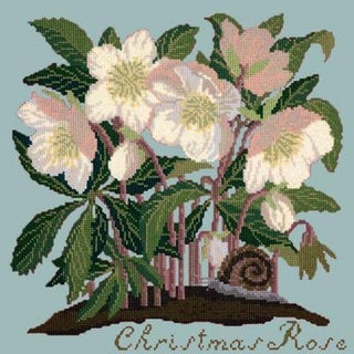 Christmas Rose Needlepoint Kit Kits Elizabeth Bradley Design Pale Blue 
