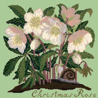 Christmas Rose Needlepoint Kit Kits Elizabeth Bradley Design Pale Green 
