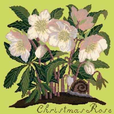 Christmas Rose Needlepoint Kit Kits Elizabeth Bradley Design Pale Lime 
