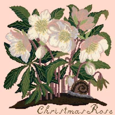 Christmas Rose Needlepoint Kit Kits Elizabeth Bradley Design Salmon Pink 

