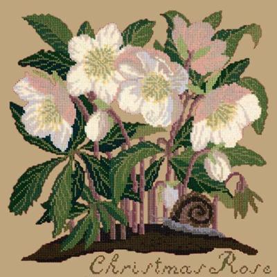 Christmas Rose Needlepoint Kit Kits Elizabeth Bradley Design Sand 