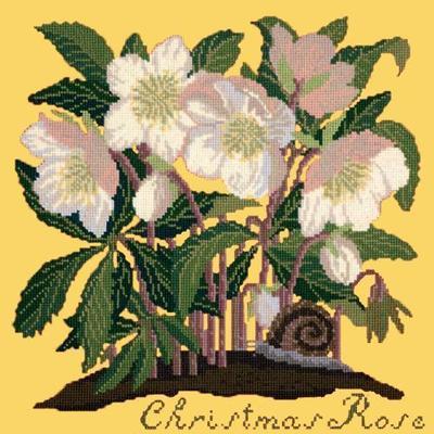 Christmas Rose Needlepoint Kit Kits Elizabeth Bradley Design Sunflower Yellow 
