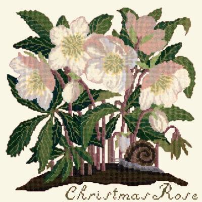 Christmas Rose Needlepoint Kit Kits Elizabeth Bradley Design Winter White 
