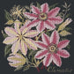 Clematis Needlepoint Kit Kits Elizabeth Bradley Design Black 