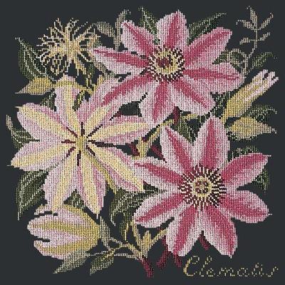 Clematis Needlepoint Kit Kits Elizabeth Bradley Design Black 