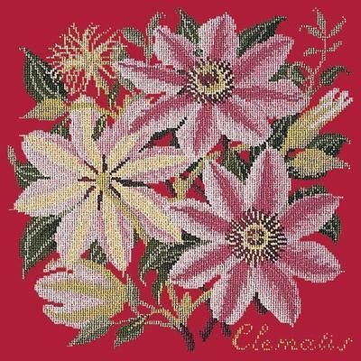Clematis Needlepoint Kit Kits Elizabeth Bradley Design Bright Red 
