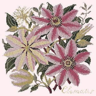 Clematis Needlepoint Kit Kits Elizabeth Bradley Design Cream 
