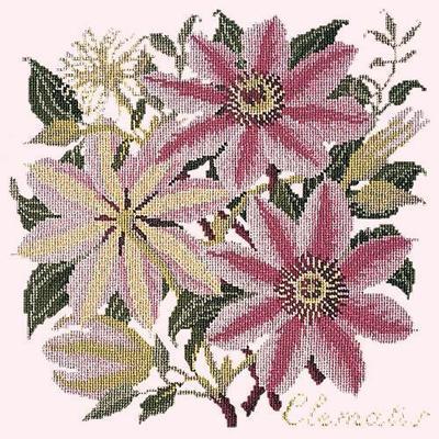 Clematis Needlepoint Kit Kits Elizabeth Bradley Design Cream 

