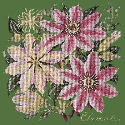 Clematis Needlepoint Kit Kits Elizabeth Bradley Design Dark Green 