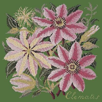 Clematis Needlepoint Kit Kits Elizabeth Bradley Design Dark Green 
