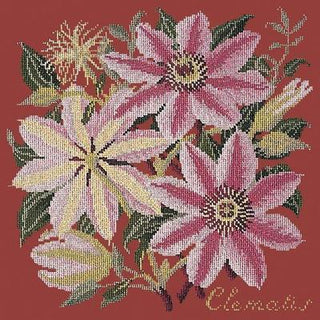Clematis Needlepoint Kit Kits Elizabeth Bradley Design Dark Red 
