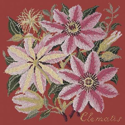 Clematis Needlepoint Kit Kits Elizabeth Bradley Design Dark Red 
