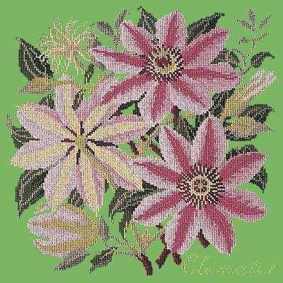 Clematis Needlepoint Kit Kits Elizabeth Bradley Design Grass Green 