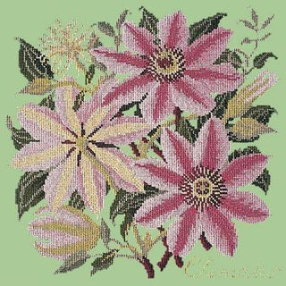 Clematis Needlepoint Kit Kits Elizabeth Bradley Design Pale Green 

