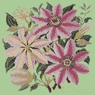 Clematis Needlepoint Kit Kits Elizabeth Bradley Design Pale Green 
