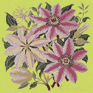 Clematis Needlepoint Kit Kits Elizabeth Bradley Design Pale Lime 
