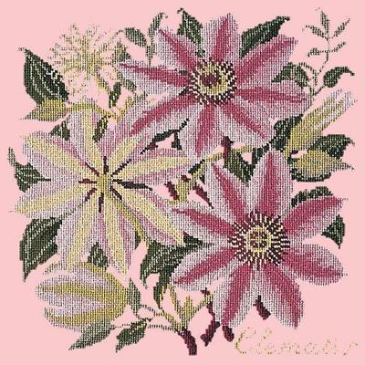 Clematis Needlepoint Kit Kits Elizabeth Bradley Design Pale Rose 

