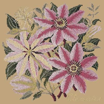 Clematis Needlepoint Kit Kits Elizabeth Bradley Design Sand 