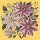 Clematis Needlepoint Kit Kits Elizabeth Bradley Design Sunflower Yellow 