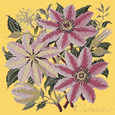 Clematis Needlepoint Kit Kits Elizabeth Bradley Design Sunflower Yellow 
