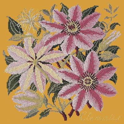 Clematis Needlepoint Kit Kits Elizabeth Bradley Design Yellow 