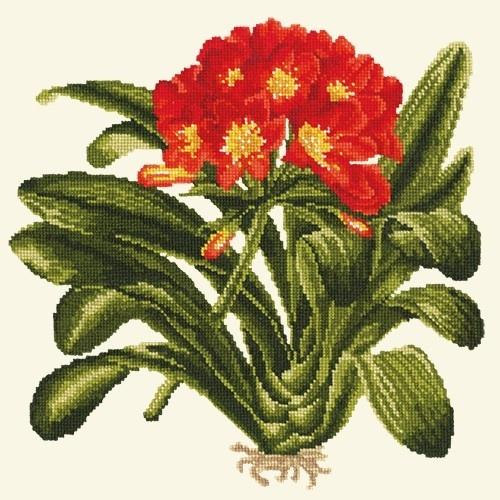 Clivia Needlepoint Kit Kits Elizabeth Bradley Design 