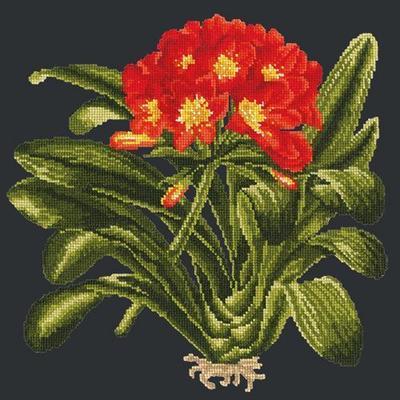 Clivia Needlepoint Kit Kits Elizabeth Bradley Design Black 
