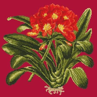 Clivia Needlepoint Kit Kits Elizabeth Bradley Design Bright Red 
